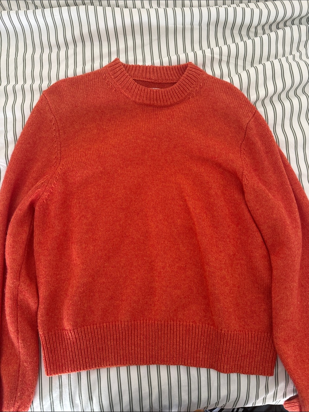 Helsa Orange Crewneck Sweater
